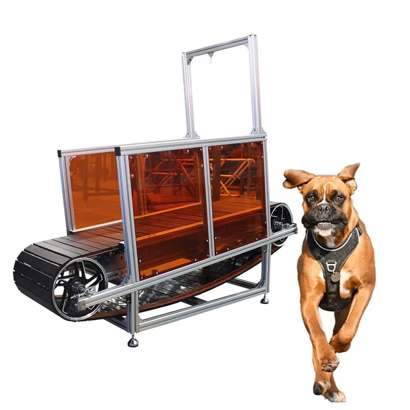 Large Non-Powered Pet Treadmil - Treadmill Home Gym ulasan dan harga