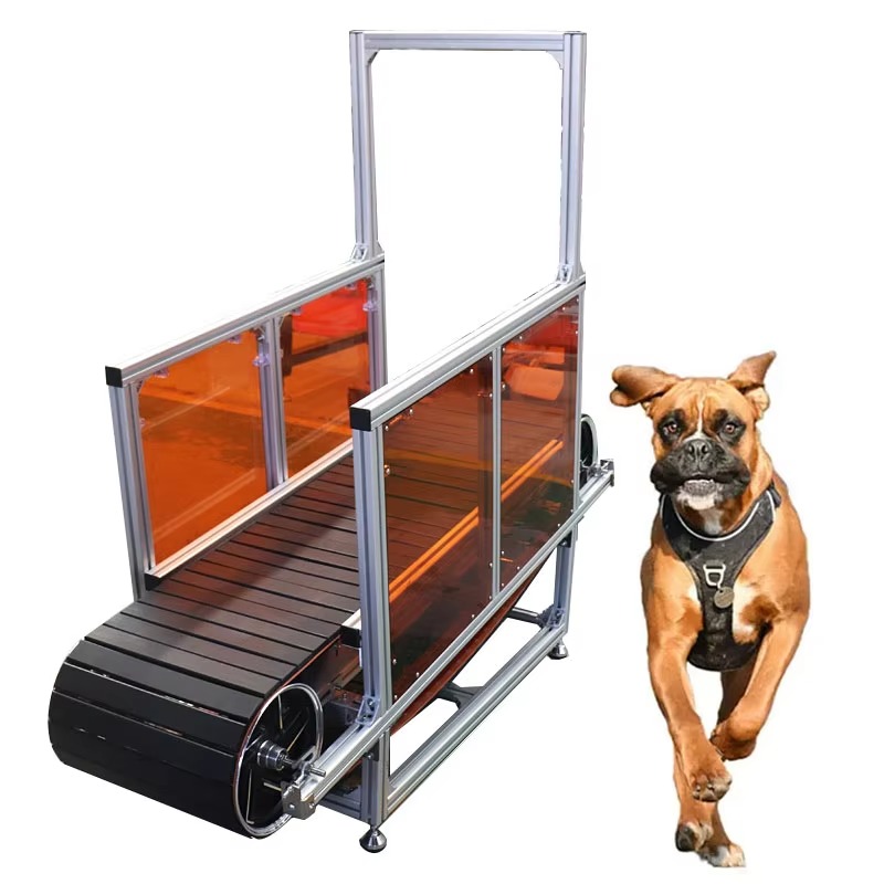 Large Non-Powered Pet Treadmil - Treadmill Home Gym ulasan dan harga