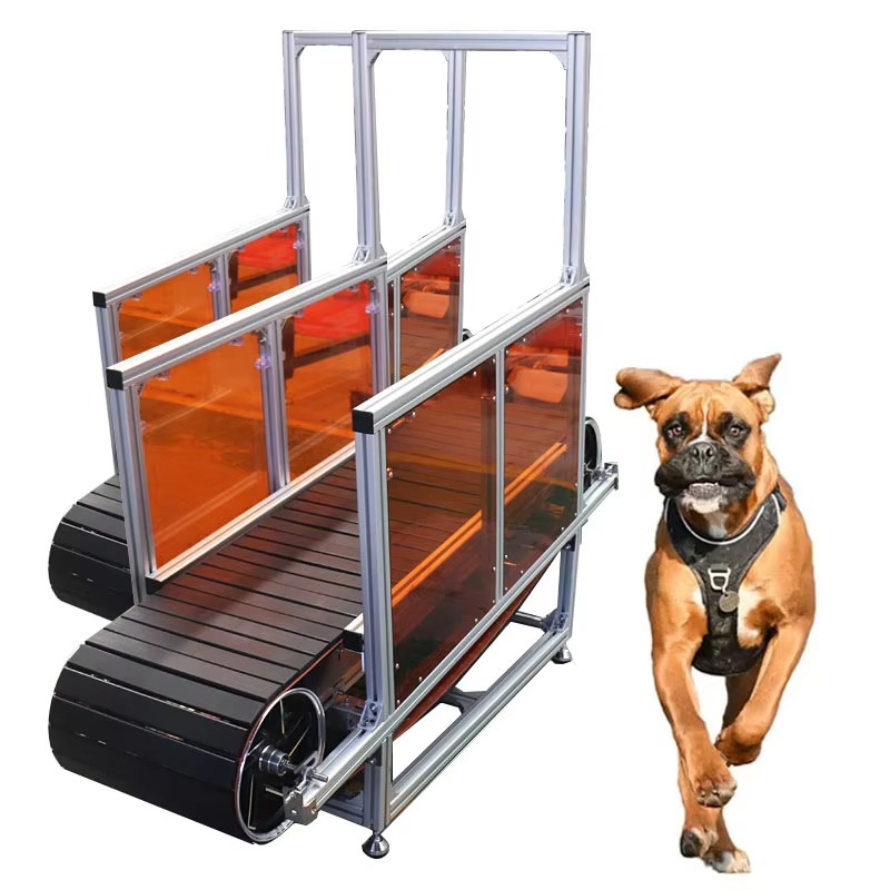 Large Non-Powered Pet Treadmil - Treadmill Home Gym ulasan dan harga